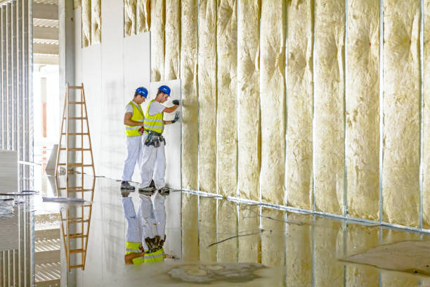 Best Insulation Maintenance and Repair in Ingram, PA